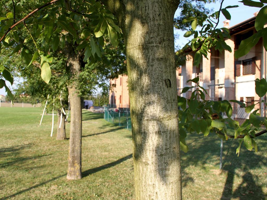 Giardino Di Mia Acomodação com café da manhã Calderara di Reno Exterior foto